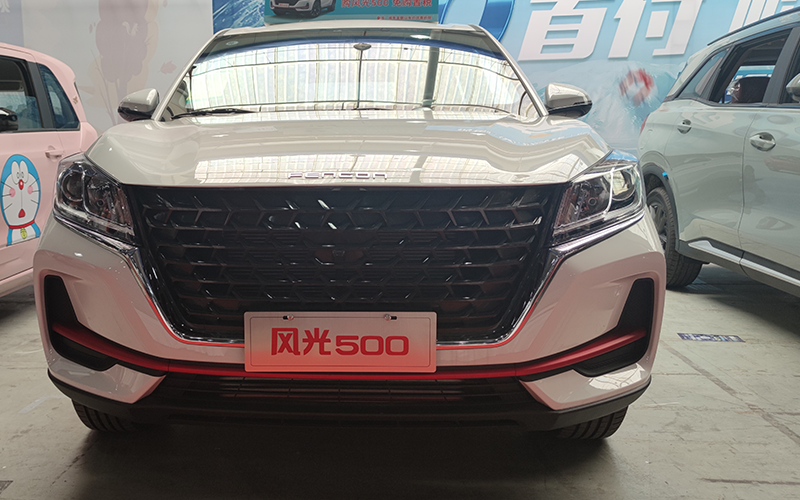 风光500外观图片1